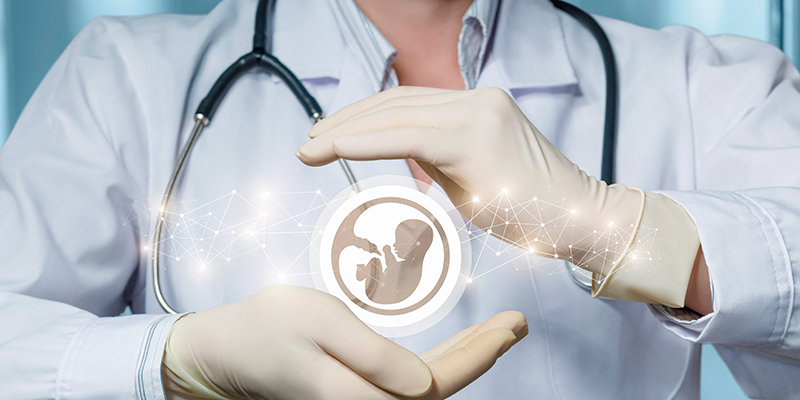 Avances en fertilidad.
